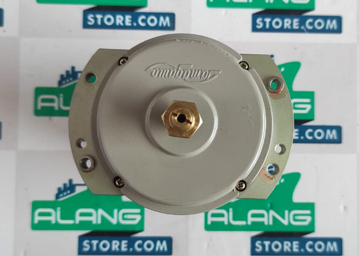 TAMAGAWA TS 5N 2E 19 SYNCHRO MOTOR - Alangstore